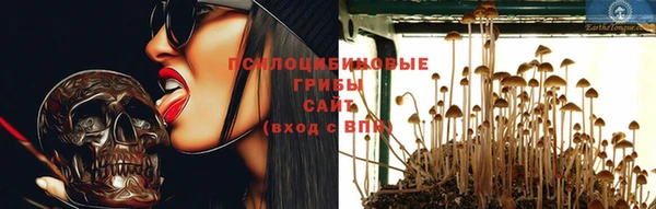 молекула духа Богородск