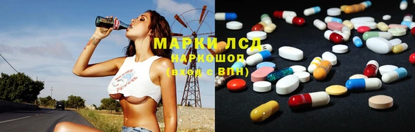 сатива Беломорск