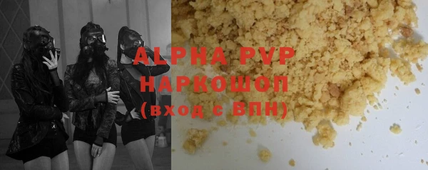 сатива Беломорск