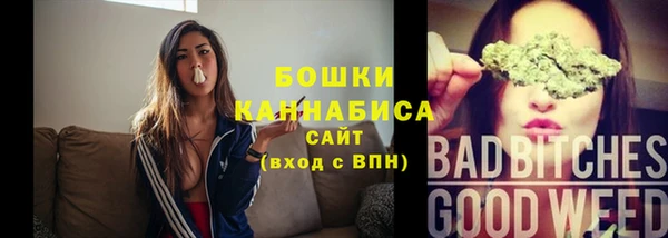 молекула духа Богородск