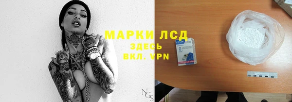 сатива Беломорск