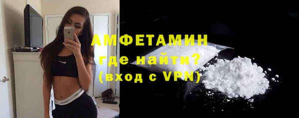 сатива Беломорск