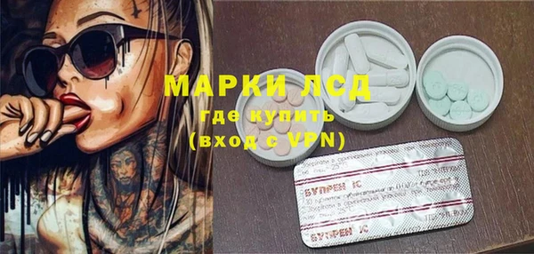 сатива Беломорск