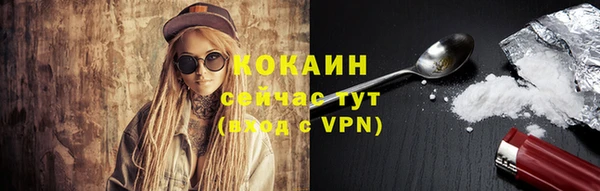 хмурый Богородицк