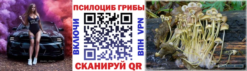 Псилоцибиновые грибы Magic Shrooms  гидра рабочий сайт  Староминская 