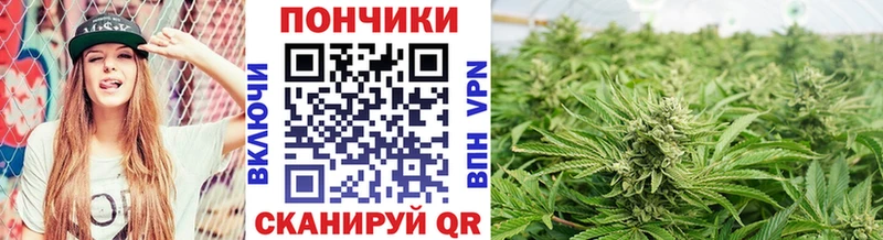 Шишки марихуана AK-47 Староминская